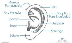 lesión, lesiones, trauma, traumas, oreja, orejas, lesion, fisioterapia, salud