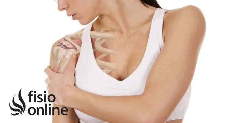 lesiones, fisioterapia, baloncesto, lesión, lesion, rotura, manguito, rotadores, hombro