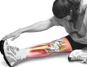 estiramiento, estiramientos, salud, fisioterapia, preparación, física, preparación física, baloncesto, deporte