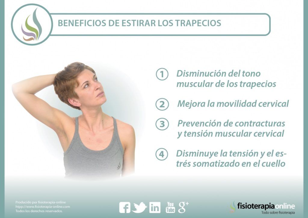 infografía, trapecio, estiramiento, estiramientos, salud, fisioterapia
